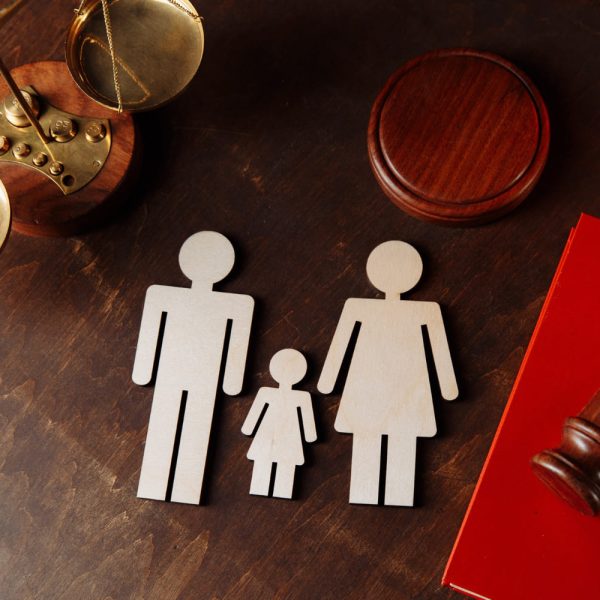jueces-martillo-sobre-libro-rojo-figuras-familiares (1) jueces-martillo-sobre-libro-rojo-figuras-familiares (1)